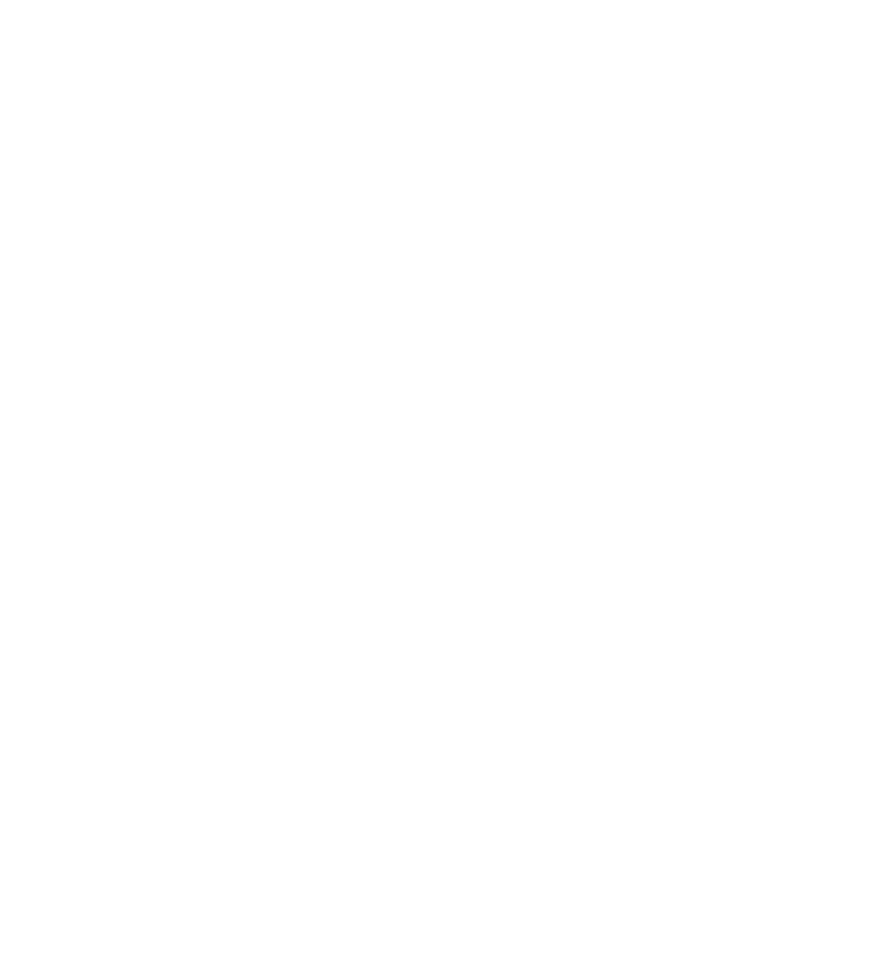 Patrinus